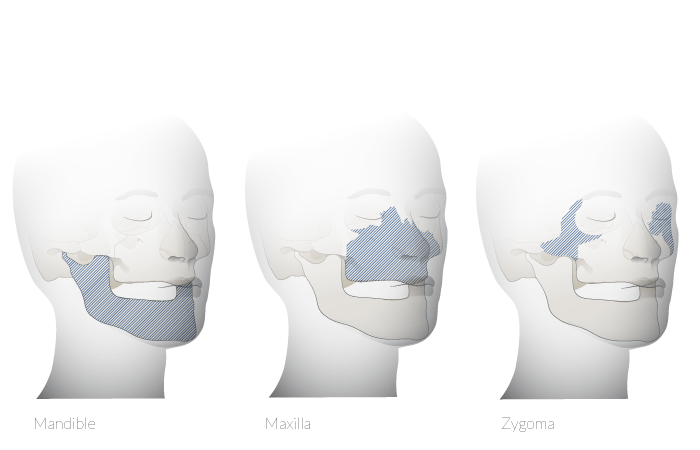 Anatomical-location.png