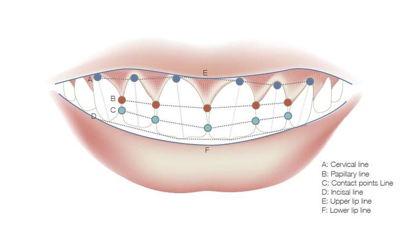 D1110_b_smile lines_new.jpg